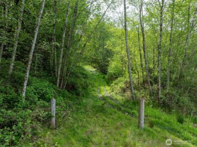 2737 Equus Ridge Lane SW, Tenino, WA 98589 - Photo 38
