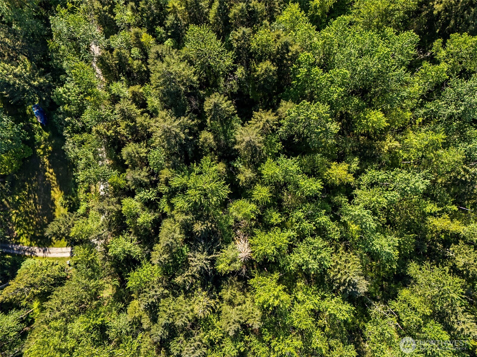 13315 278th Street E, Graham, WA 98338
