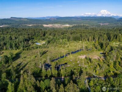25867 150th Avenue E, Graham, WA 98338 - Photo 13