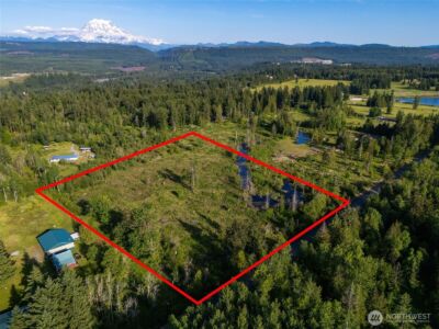 25867 150th Avenue E, Graham, WA 98338 - Photo 2