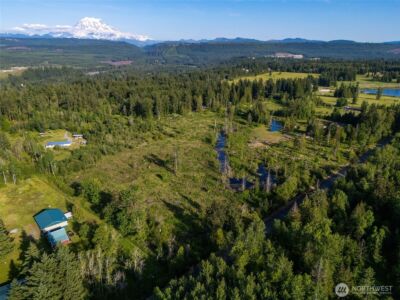 25867 150th Avenue E, Graham, WA 98338 - Photo 6