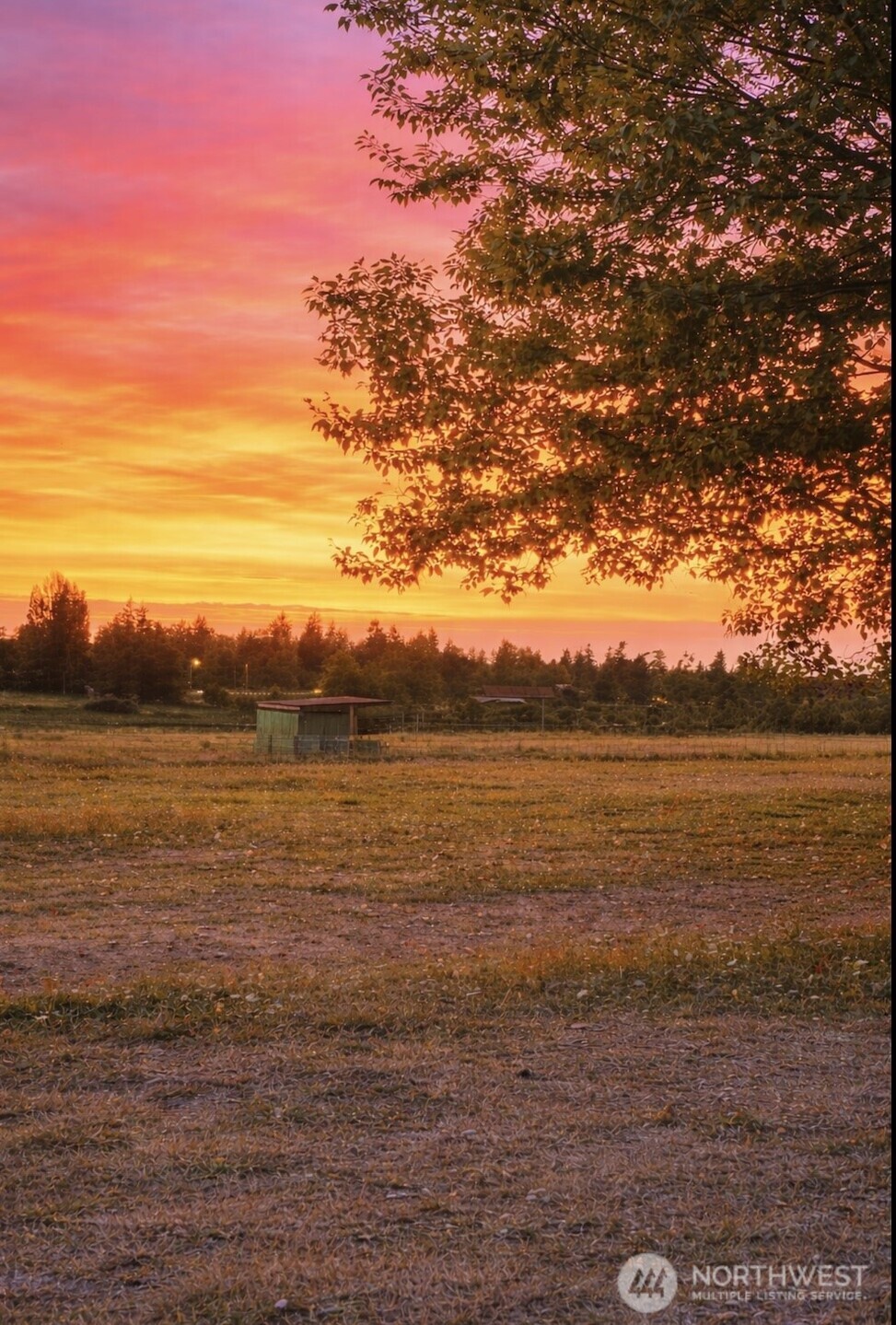 43004 196th Avenue SE, Enumclaw, WA 98022-9998