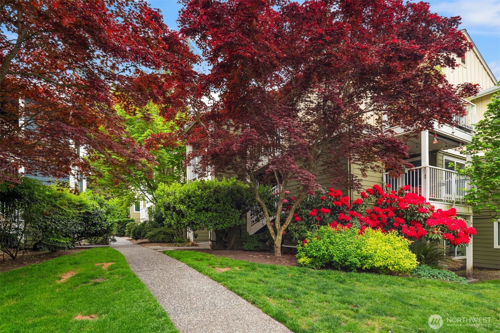300 N 130th Street #8-202, Seattle, WA 98133