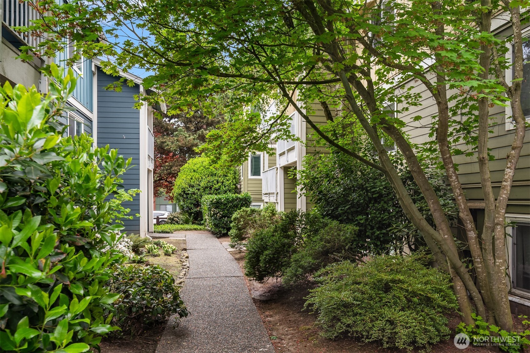 300 N 130th Street #8-202, Seattle, WA 98133