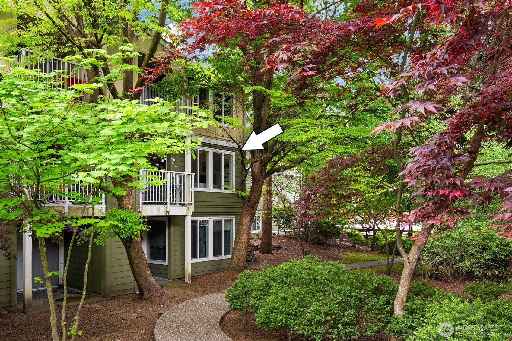 300 N 130th Street #8-202, Seattle, WA 98133