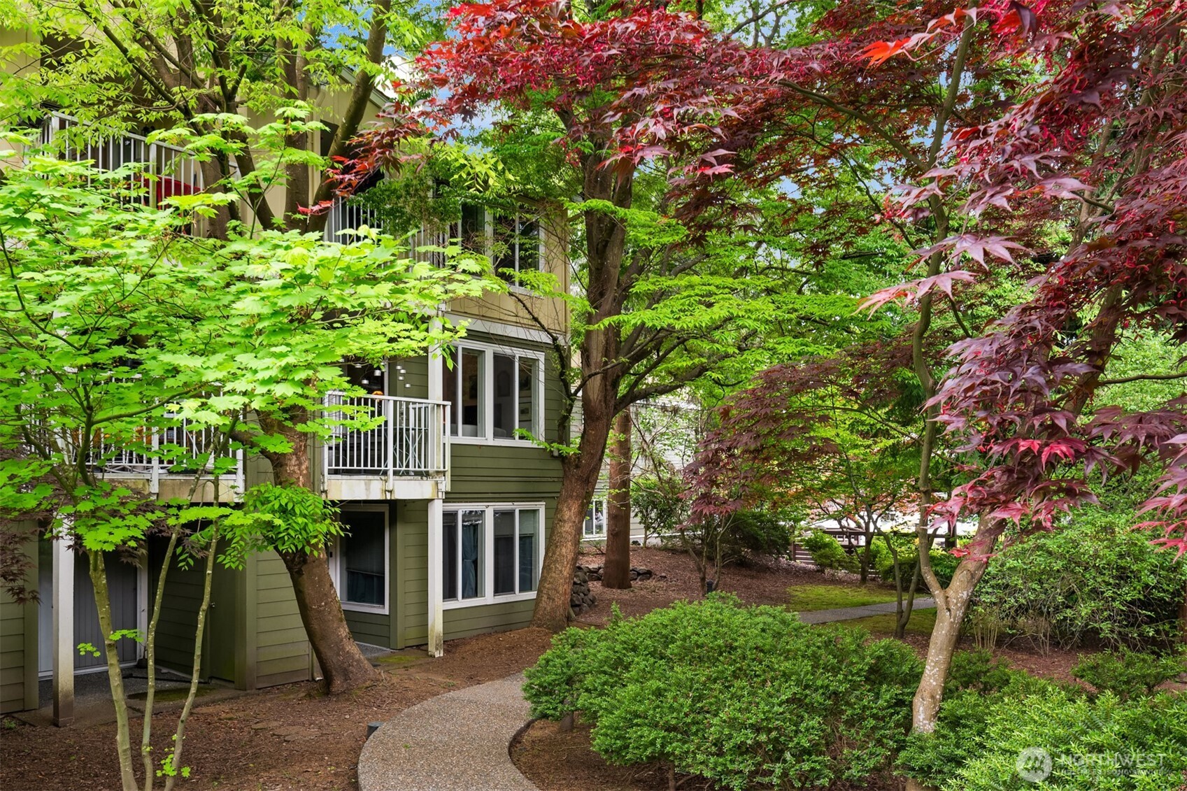 300 N 130th Street #8-202, Seattle, WA 98133