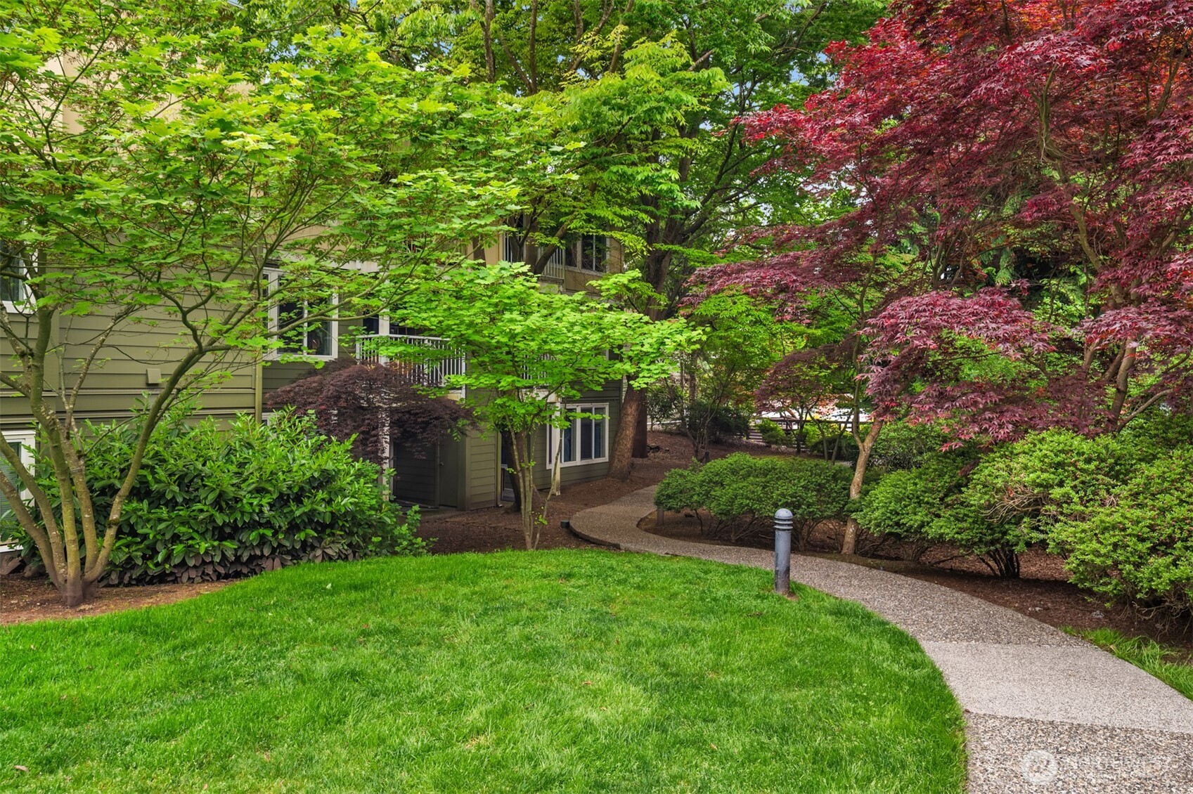 300 N 130th Street #8-202, Seattle, WA 98133