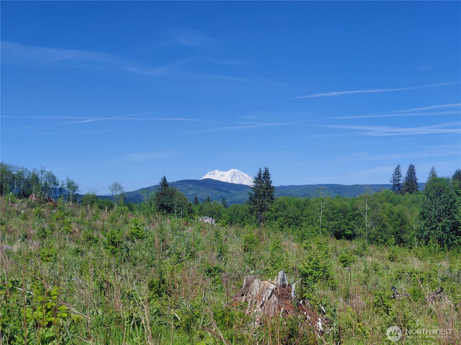 195 -82 Hagen Road , Mossyrock, WA 98564