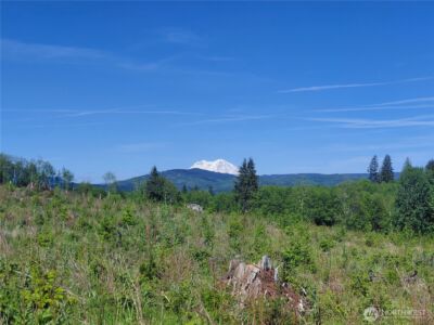 195 -82 Hagen Road , Mossyrock, WA 98564 - Photo 1