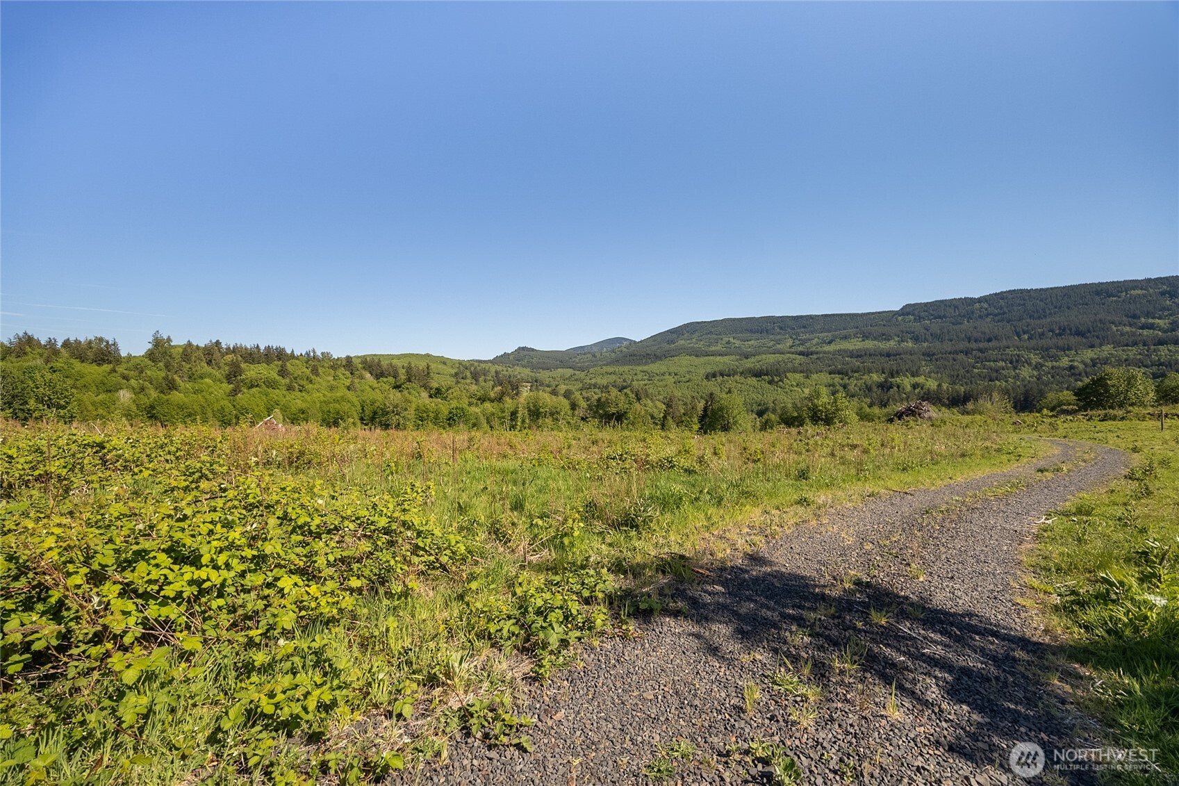 195 -82 Hagen Road , Mossyrock, WA 98564