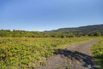 195 -82 Hagen Road , Mossyrock, WA 98564 - Photo 14