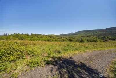 195 -82 Hagen Road , Mossyrock, WA 98564 - Photo 15
