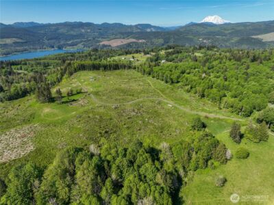 195 -82 Hagen Road , Mossyrock, WA 98564 - Photo 3