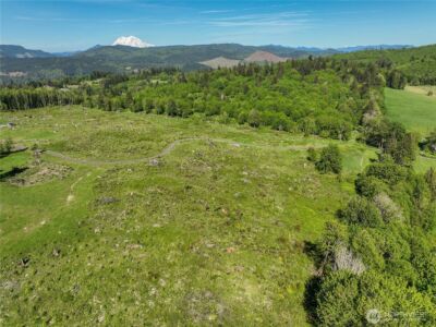 195 -82 Hagen Road , Mossyrock, WA 98564 - Photo 4