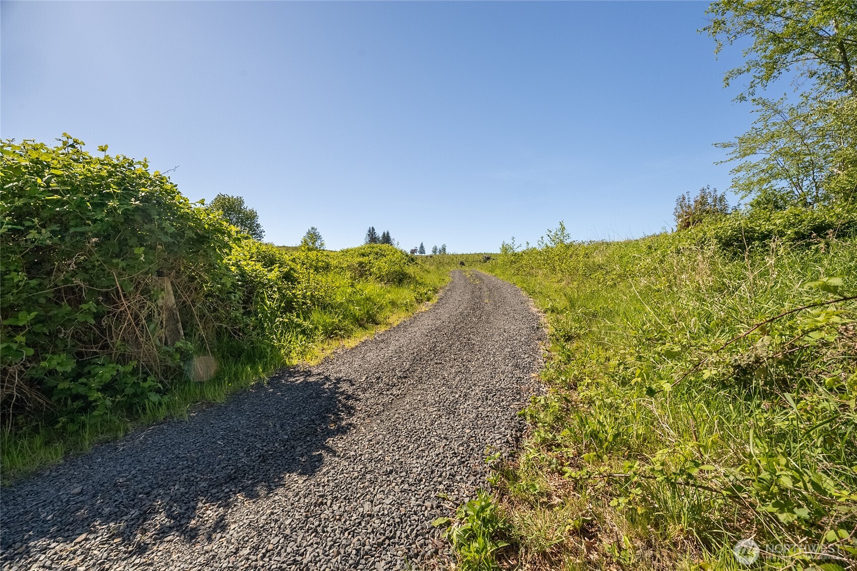 195 -82 Hagen Road , Mossyrock, WA 98564