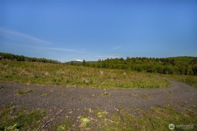 195 -82 Hagen Road , Mossyrock, WA 98564 - Photo 6