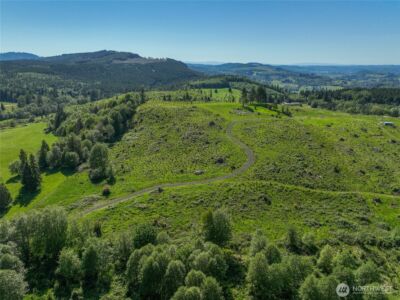 195 -82 Hagen Road , Mossyrock, WA 98564 - Photo 8