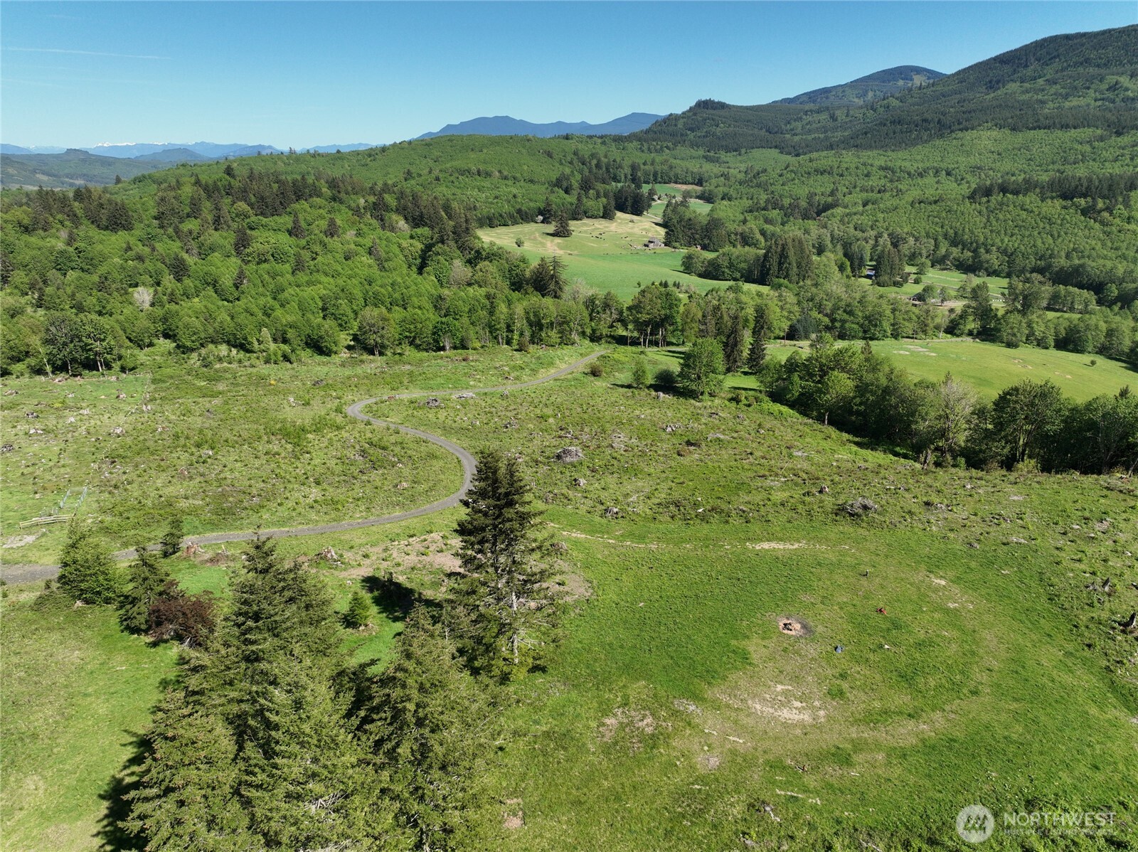 195 -82 Hagen Road , Mossyrock, WA 98564