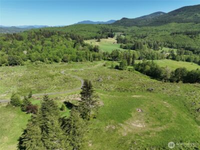 195 -82 Hagen Road , Mossyrock, WA 98564 - Photo 10