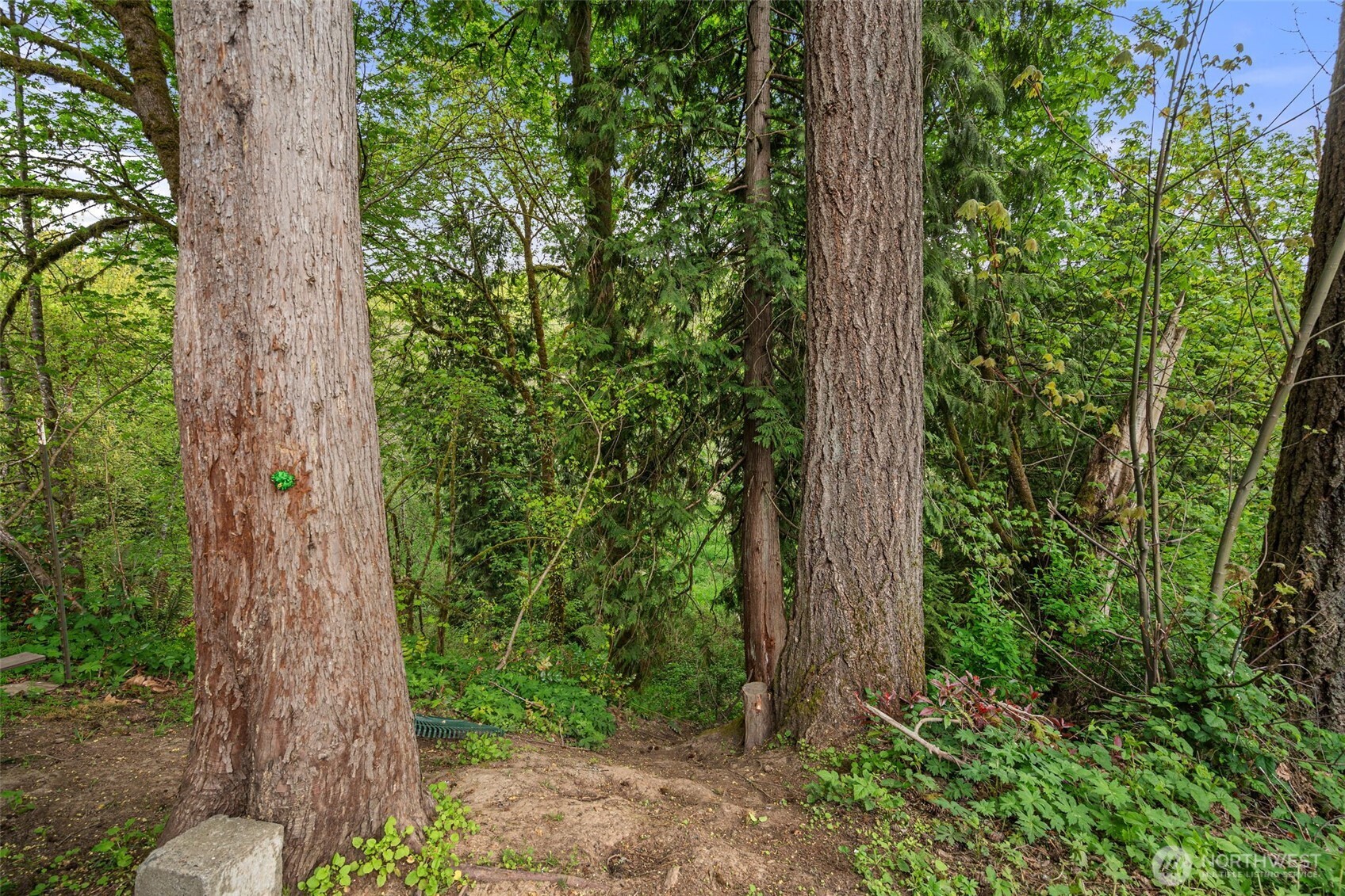 708 NE Eaton Court , Castle Rock, WA 98611