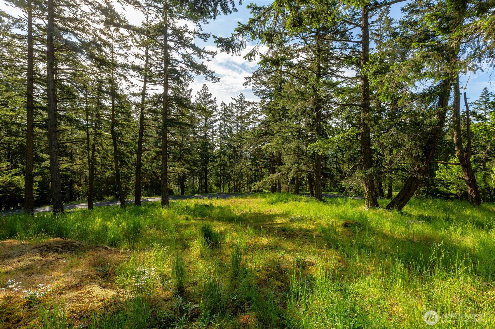 24 Mossyrock Road , Friday Harbor, WA 98250