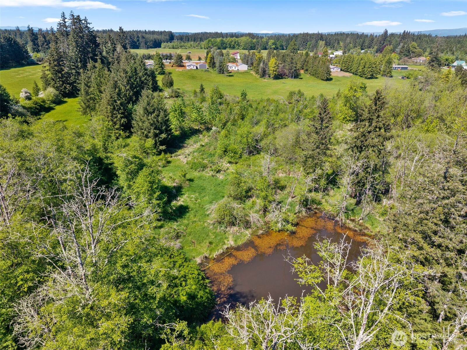 1090 Koontz Road , Chehalis, WA 98532