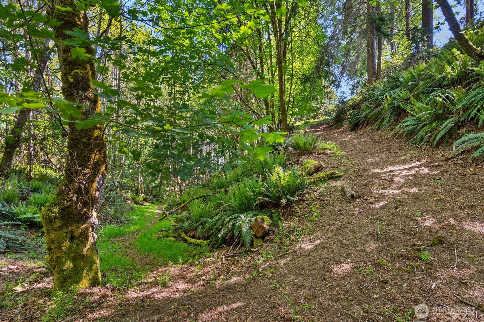 15 E Smith Cove Way , Shelton, WA 98584