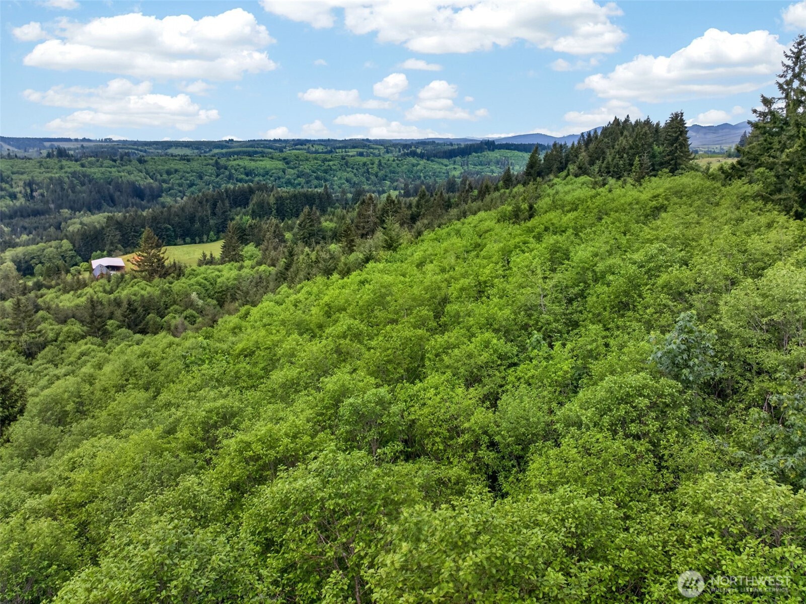 943 Fall Creek Road , Longview, WA 98632