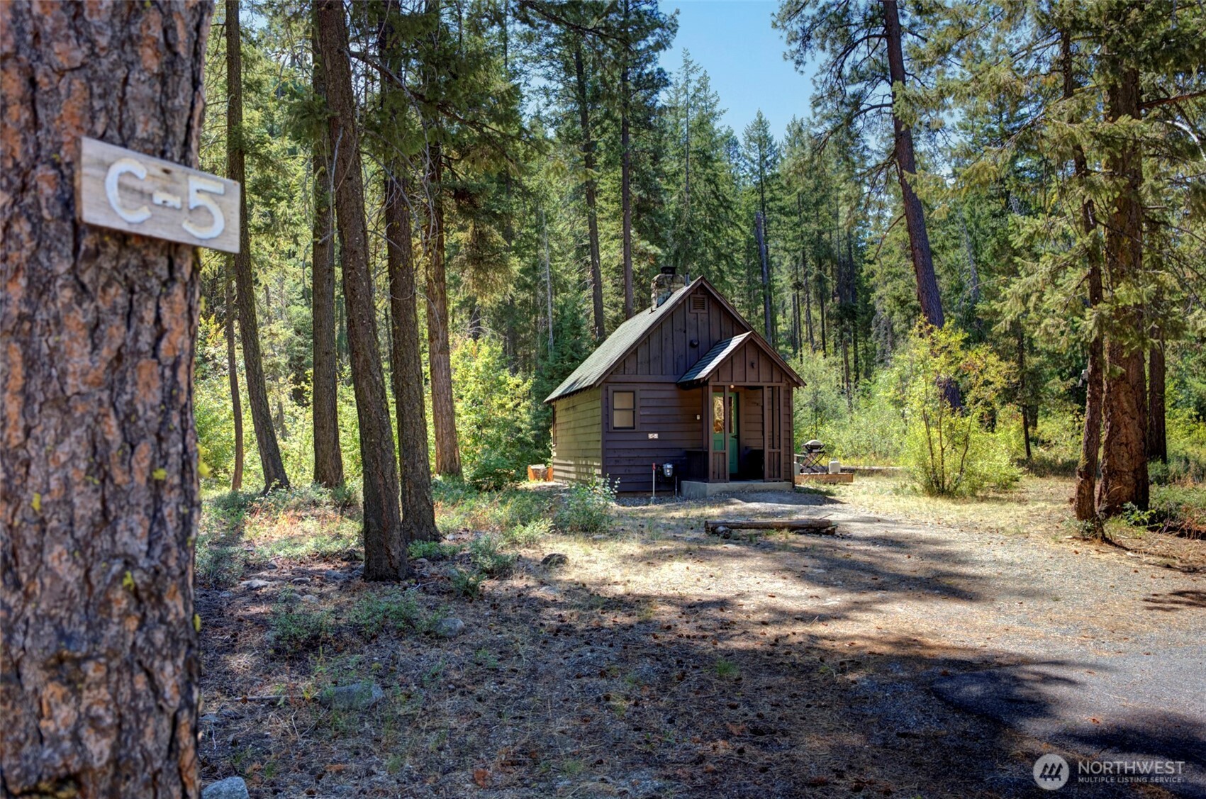17798 A Hwy 20 #C-5, Mazama, WA 98833