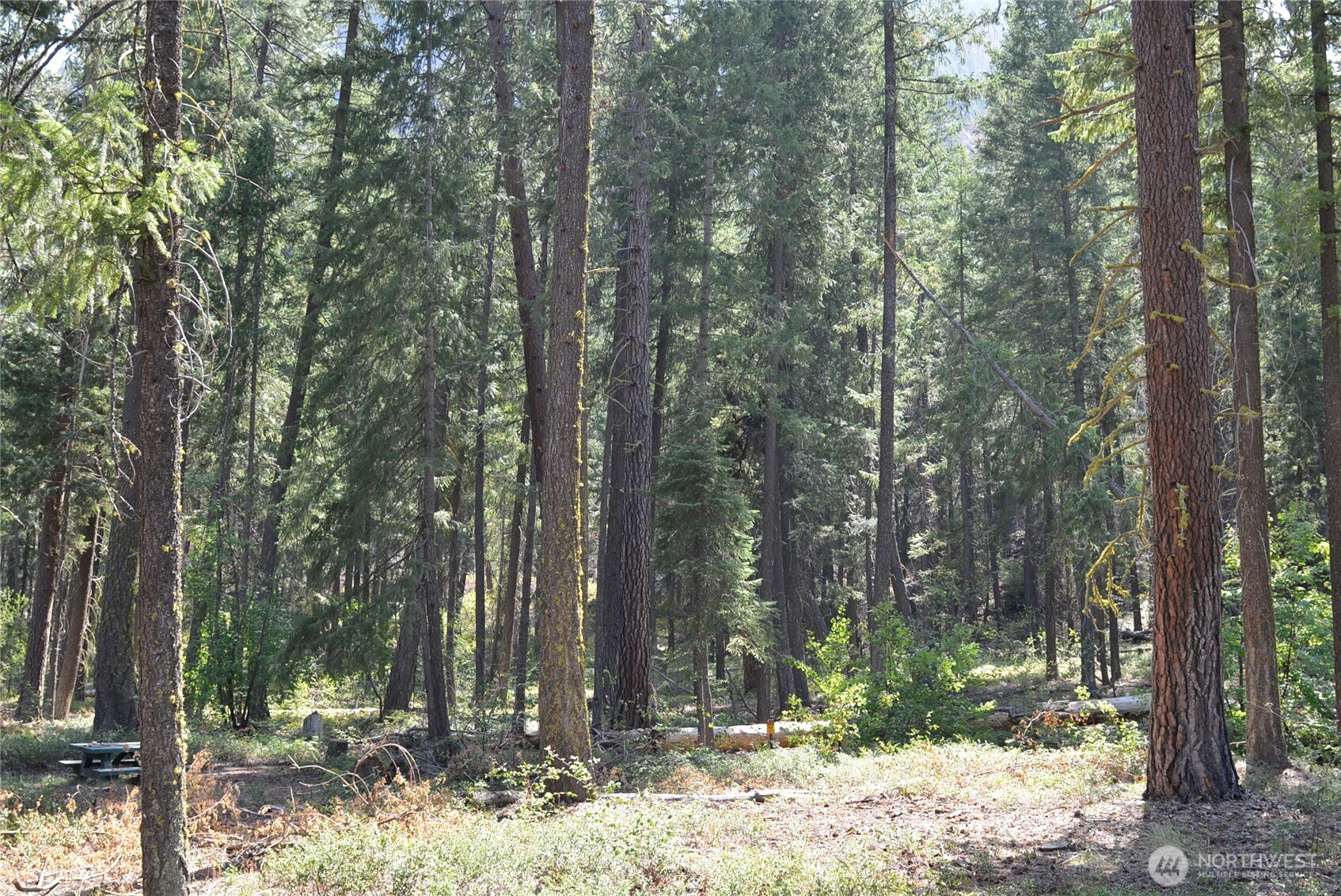 17798 A Hwy 20 #C-6, Mazama, WA 98833