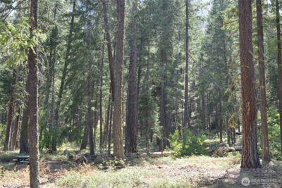 17798 A Hwy 20 #C-6, Mazama, WA 98833 - Photo 17