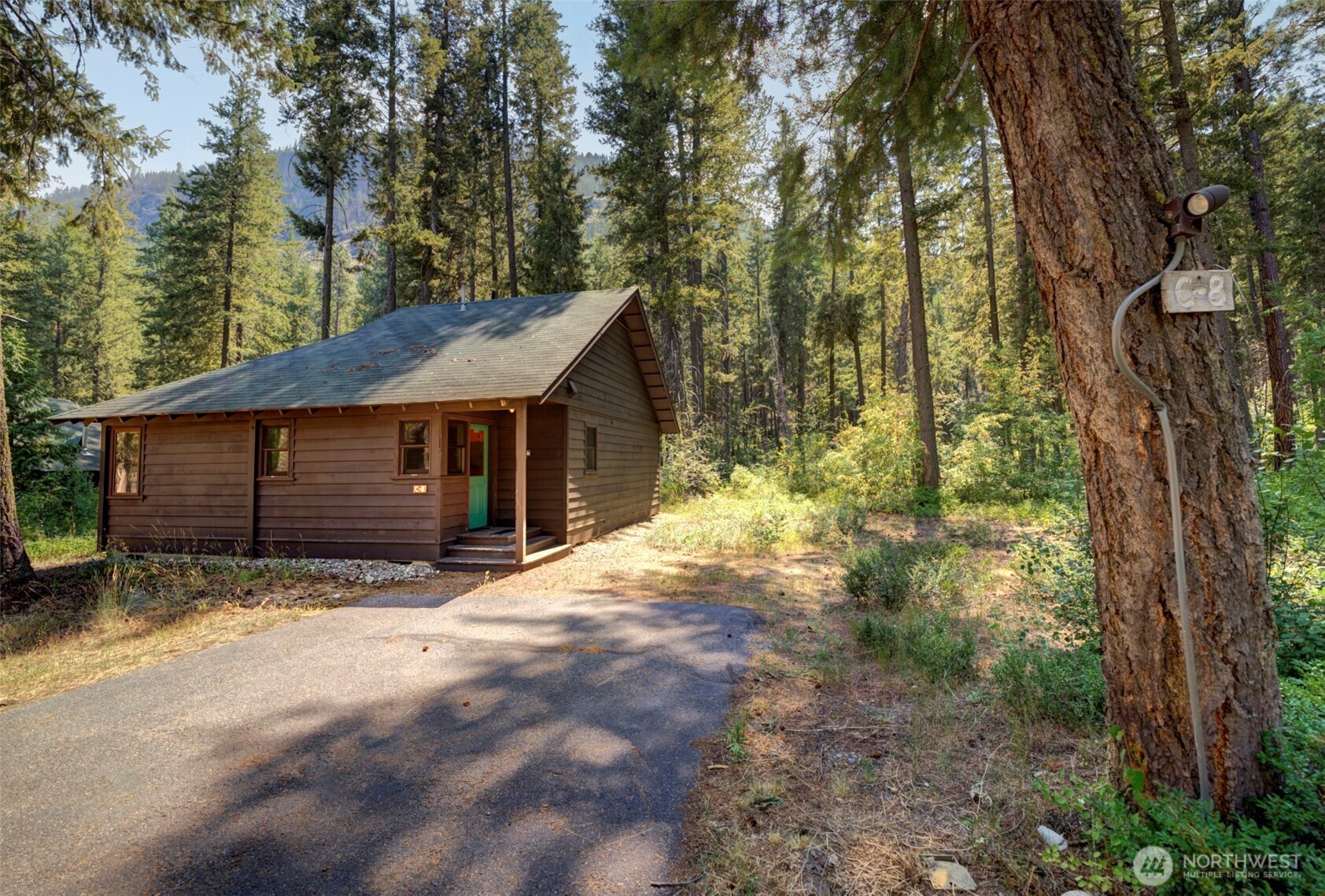 17798 A Hwy 20 #C-8, Mazama, WA 98833