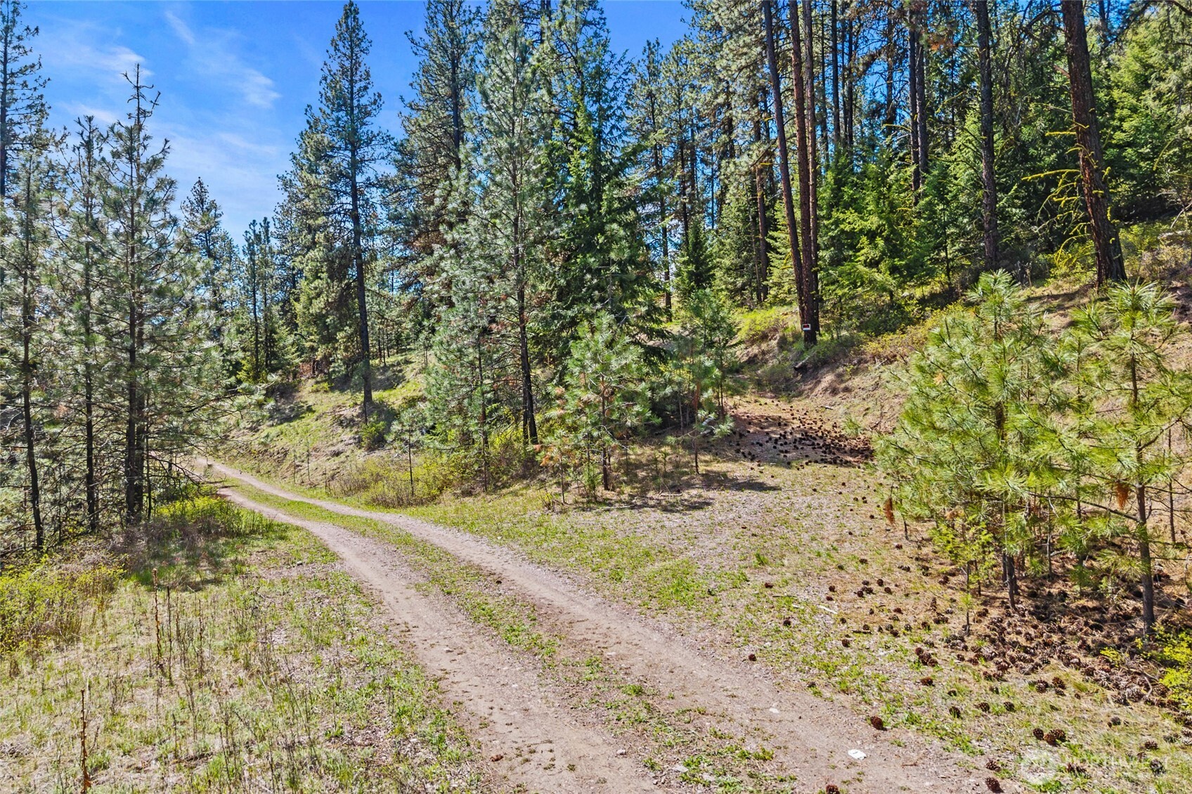 45 XXXX Klondike , Republic, WA 99166