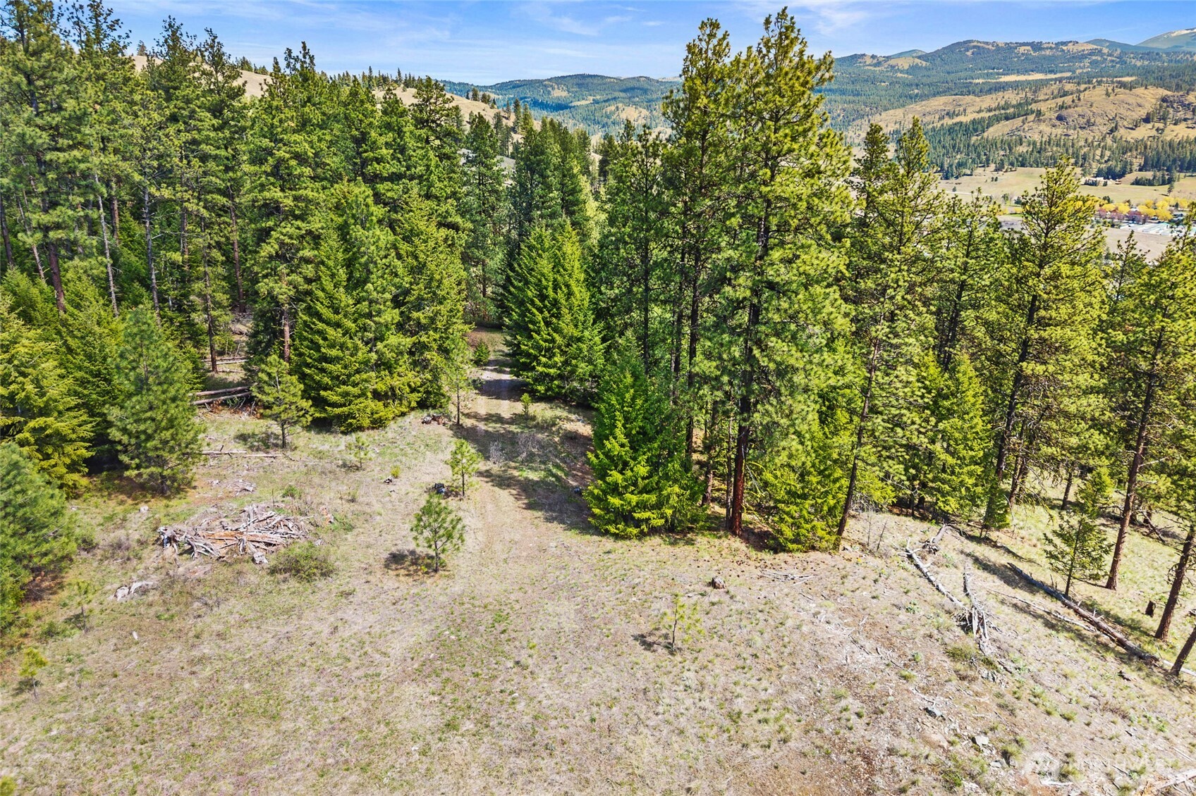 45 XXXX Klondike , Republic, WA 99166