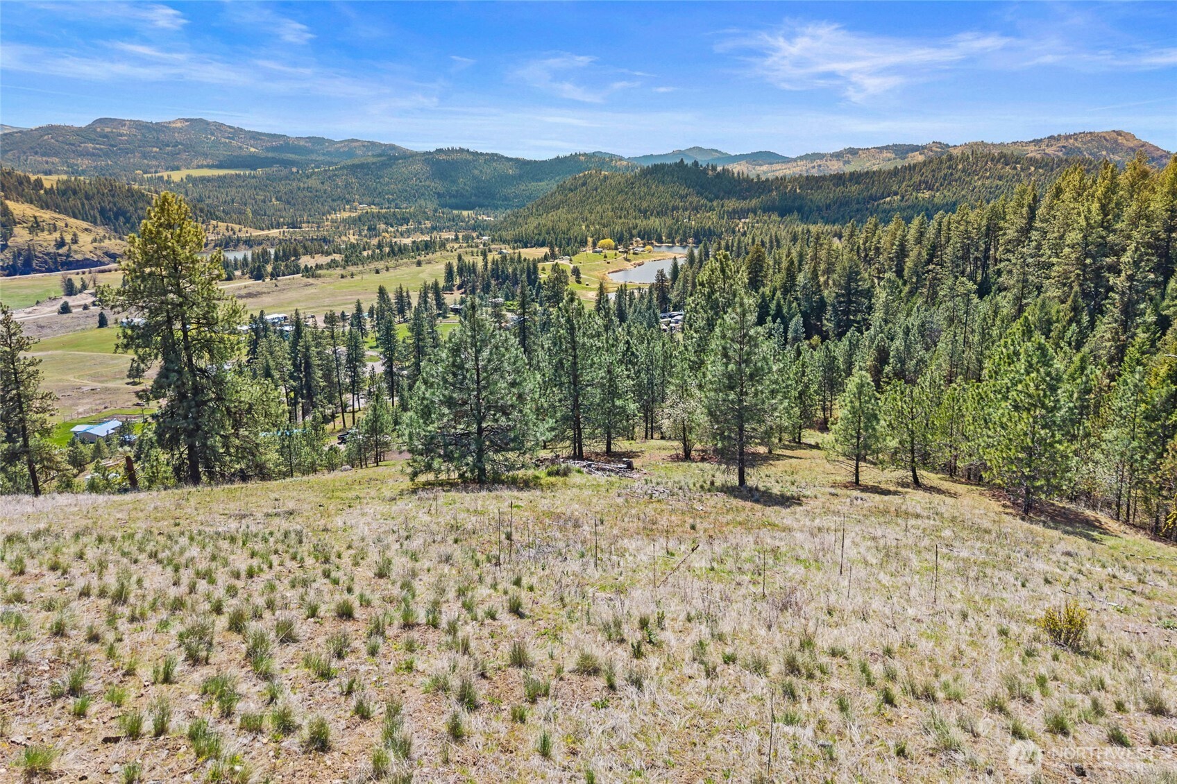 45 XXXX Klondike , Republic, WA 99166