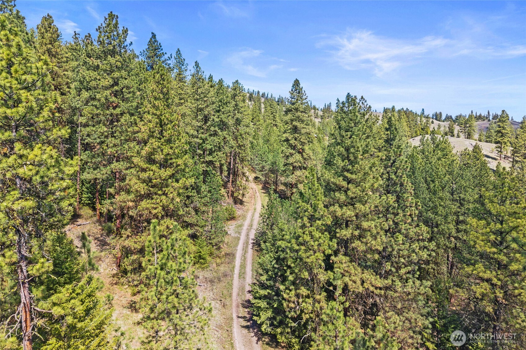 45 XXXX Klondike , Republic, WA 99166