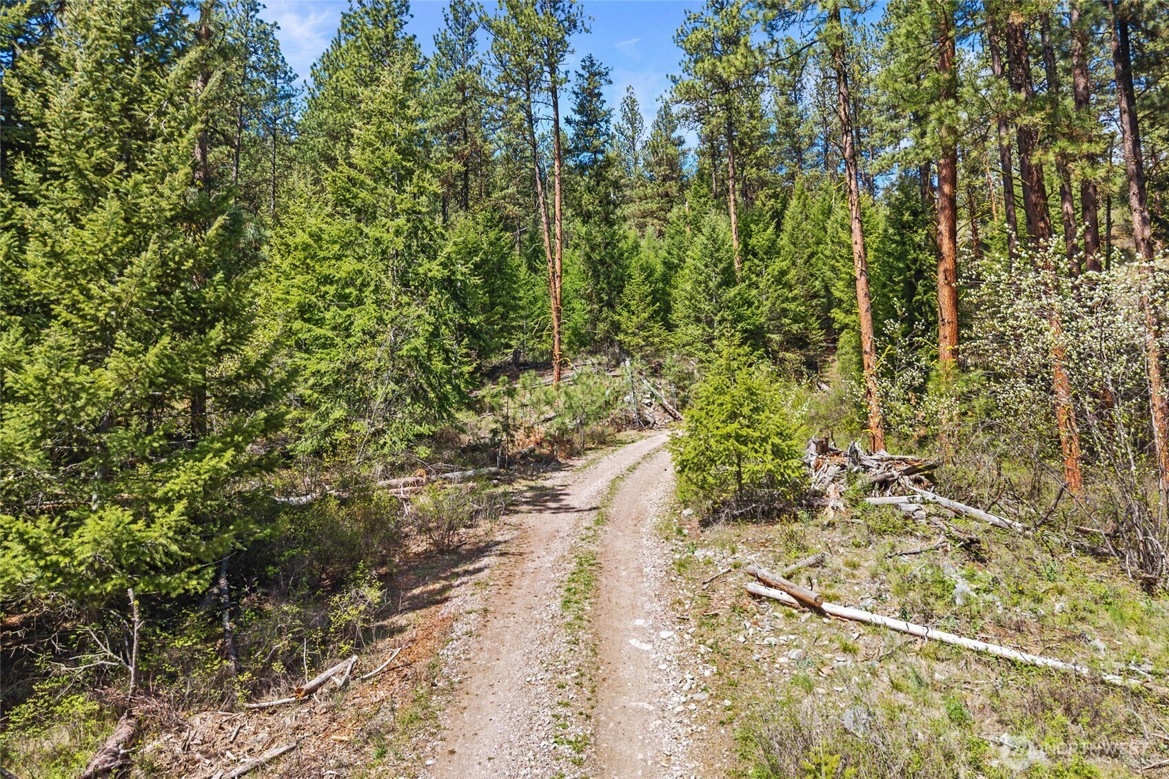 45 XXXX Klondike , Republic, WA 99166