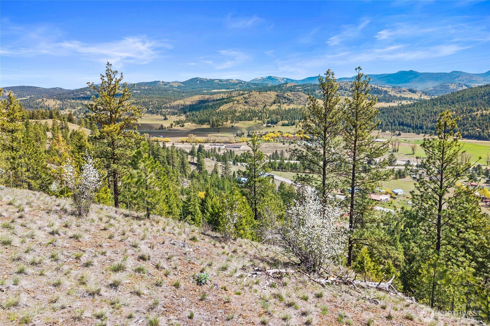 45 XXXX Klondike , Republic, WA 99166