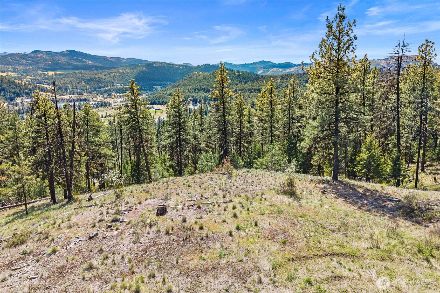 45 XXXX Klondike , Republic, WA 99166