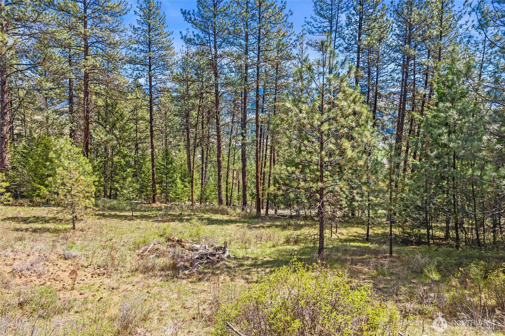 45 XXXX Klondike , Republic, WA 99166