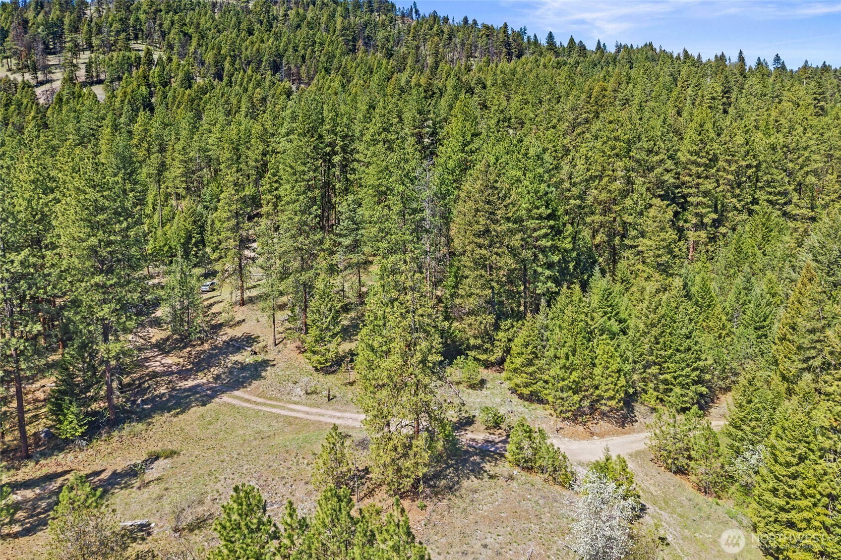 45 XXXX Klondike , Republic, WA 99166
