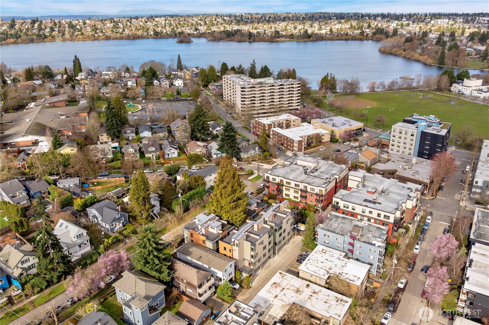6546 B Latona Avenue NE, Seattle, WA 98115