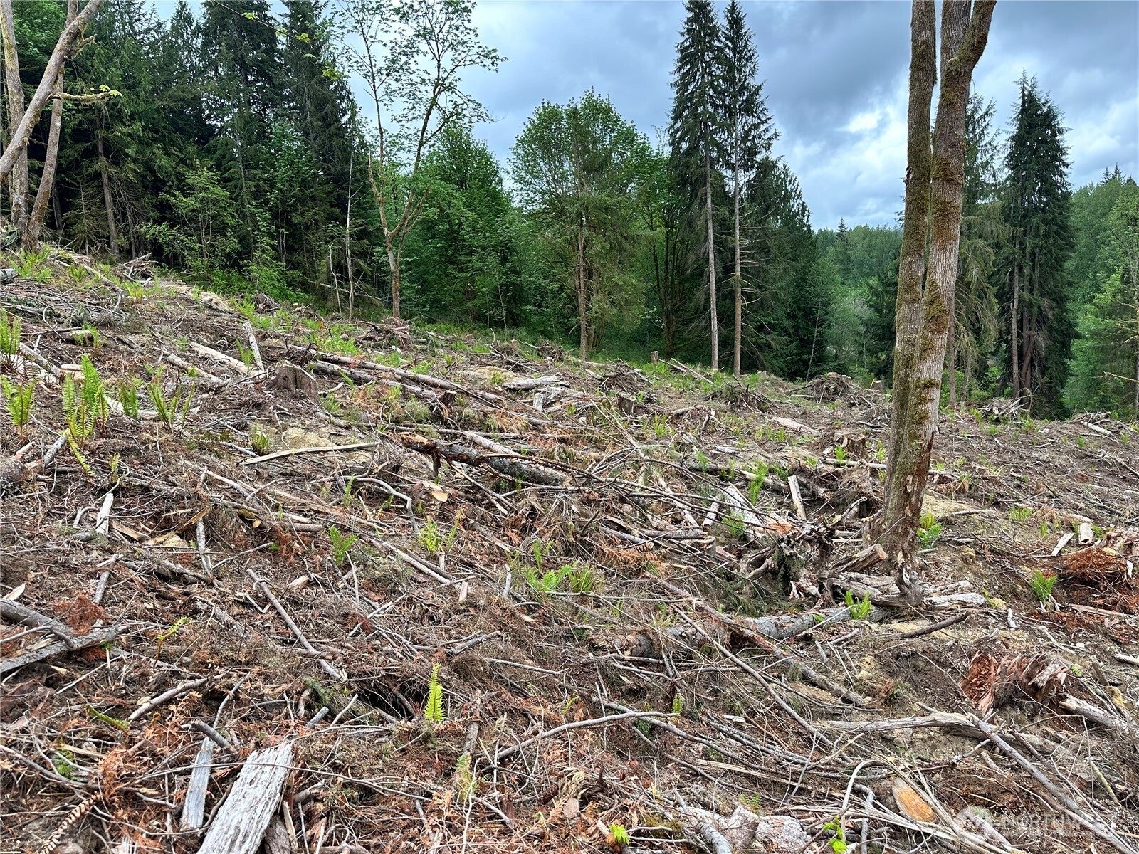 0 S Carpenter Road , Snohomish, WA 98280