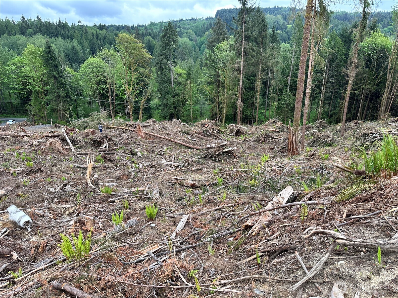 0 S Carpenter Road , Snohomish, WA 98280