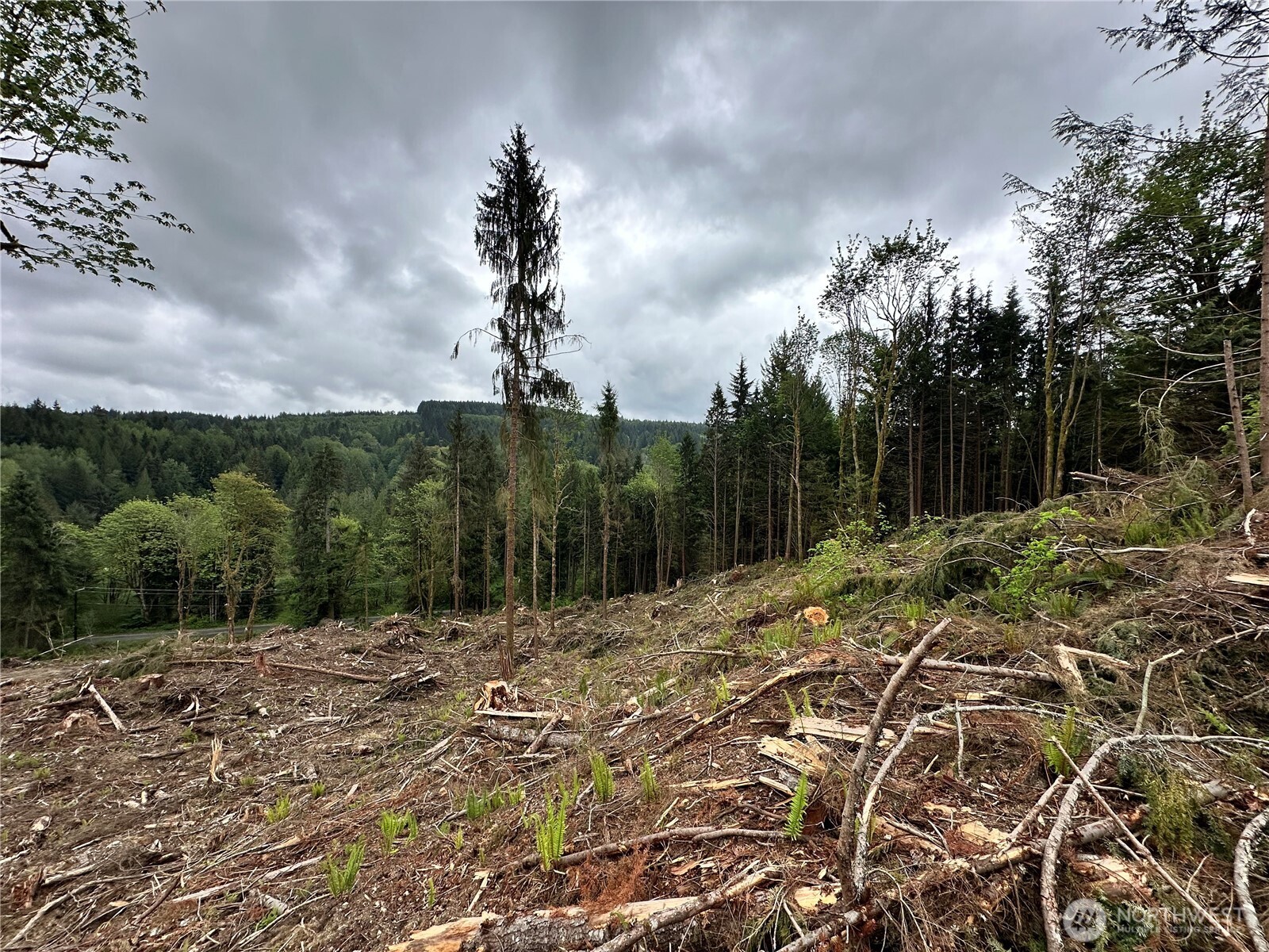 0 S Carpenter Road , Snohomish, WA 98280