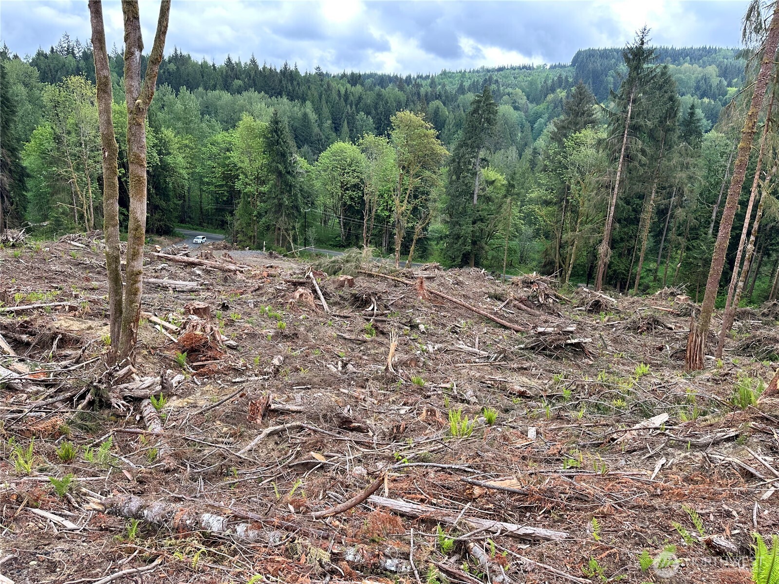 0 S Carpenter Road , Snohomish, WA 98280