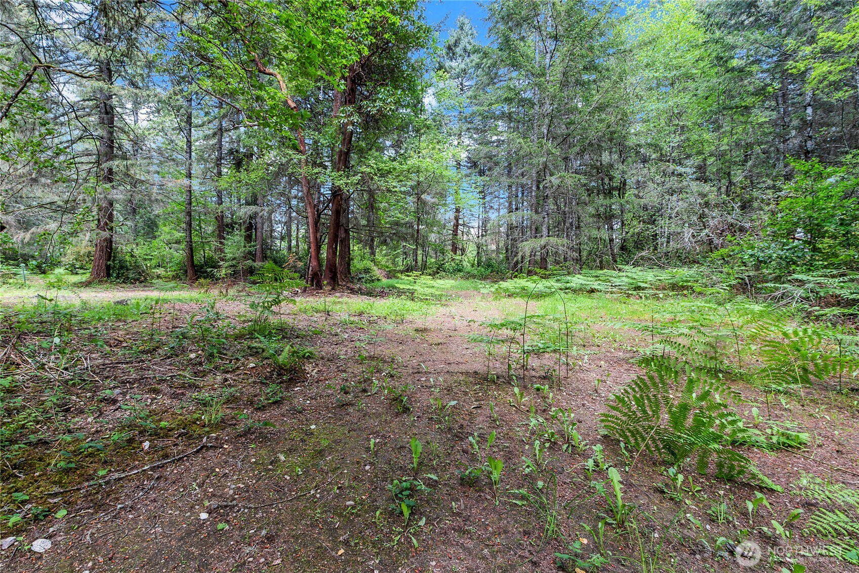 16405 84th Street NW, Lakebay, WA 98349-9527