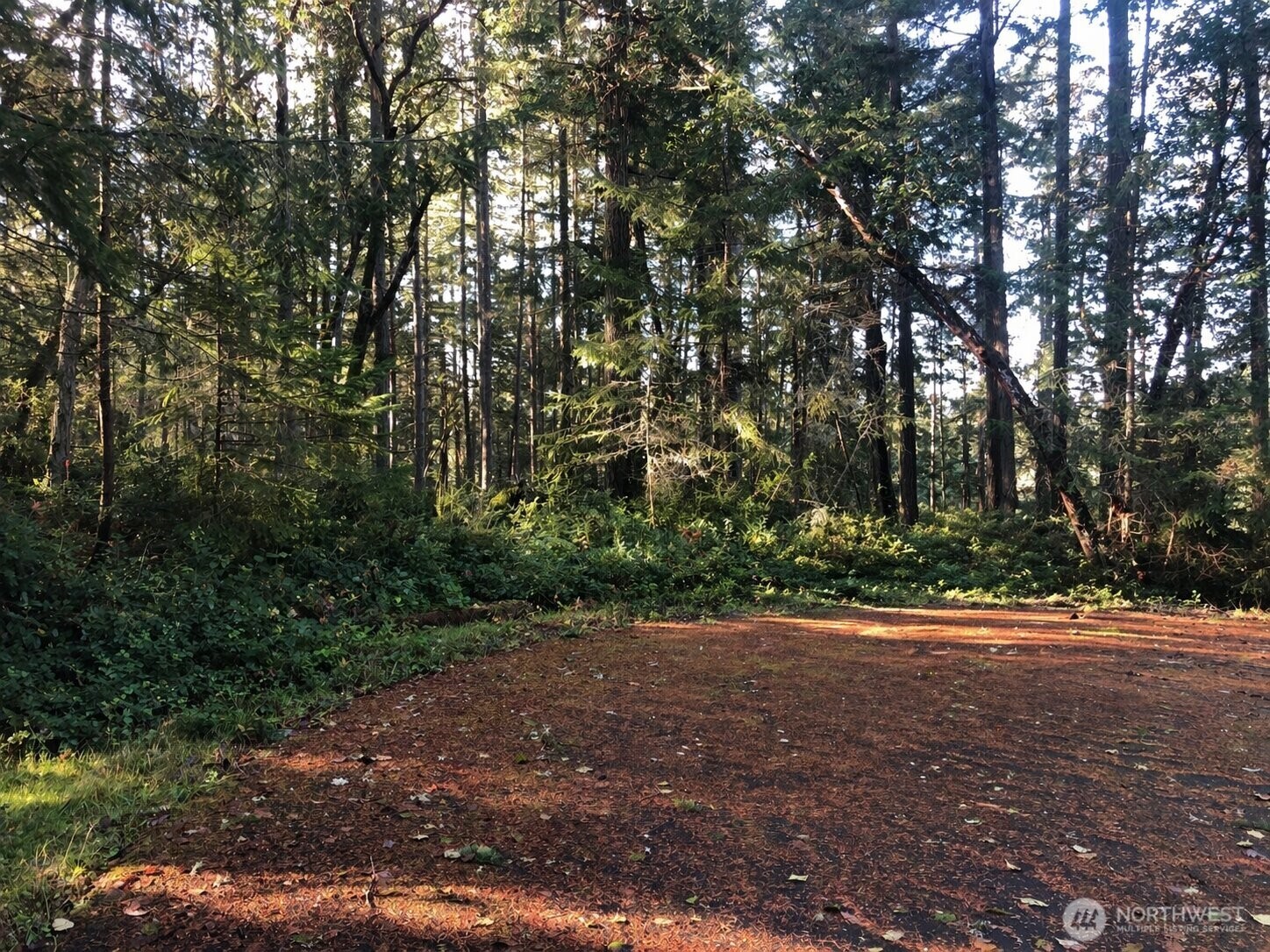9501 116th Avenue Ct , Anderson Island, WA 98303