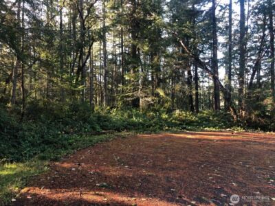9501 116th Avenue Ct , Anderson Island, WA 98303 - Photo 1