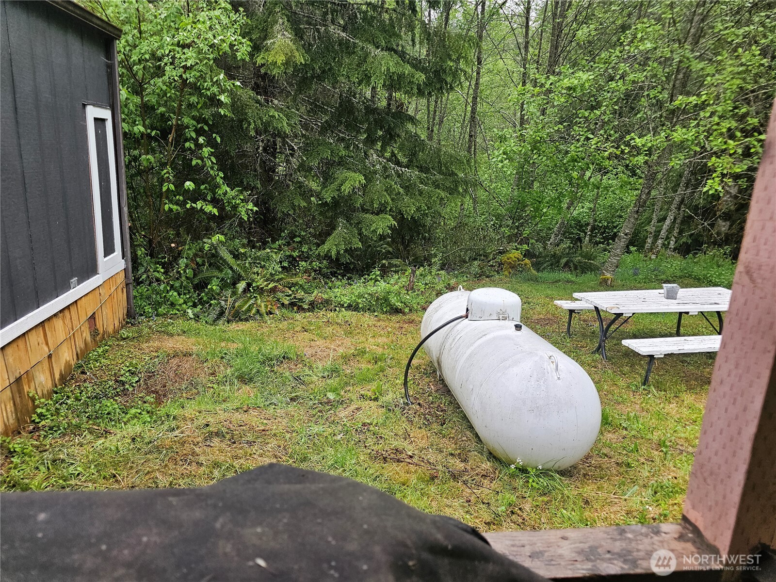 134 Mowich Way , Ashford, WA 98304